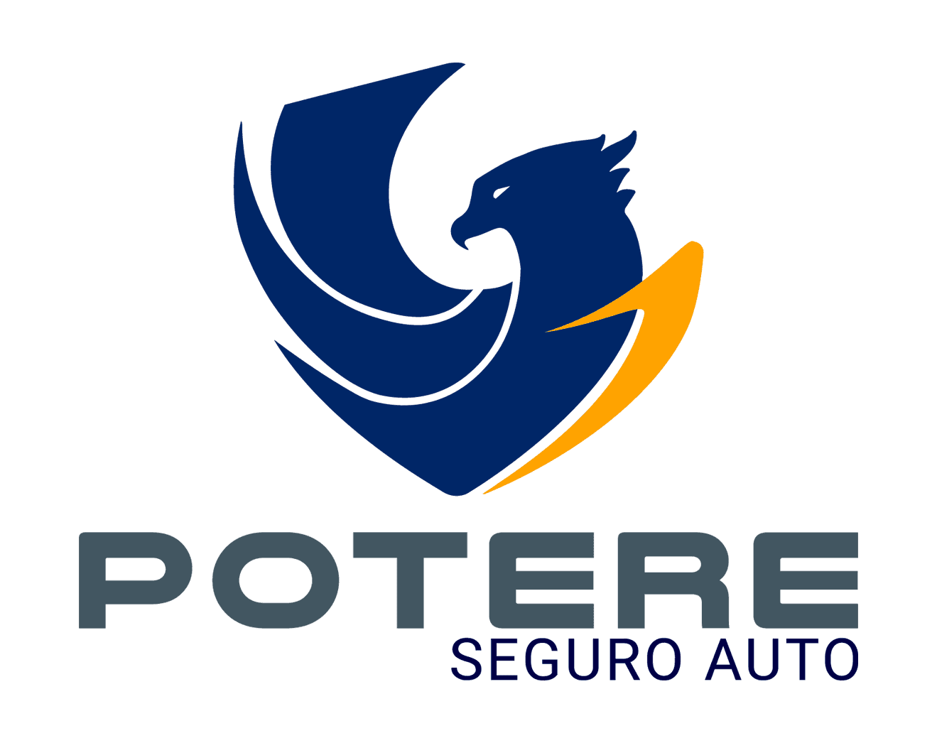 Potere Seguro Auto