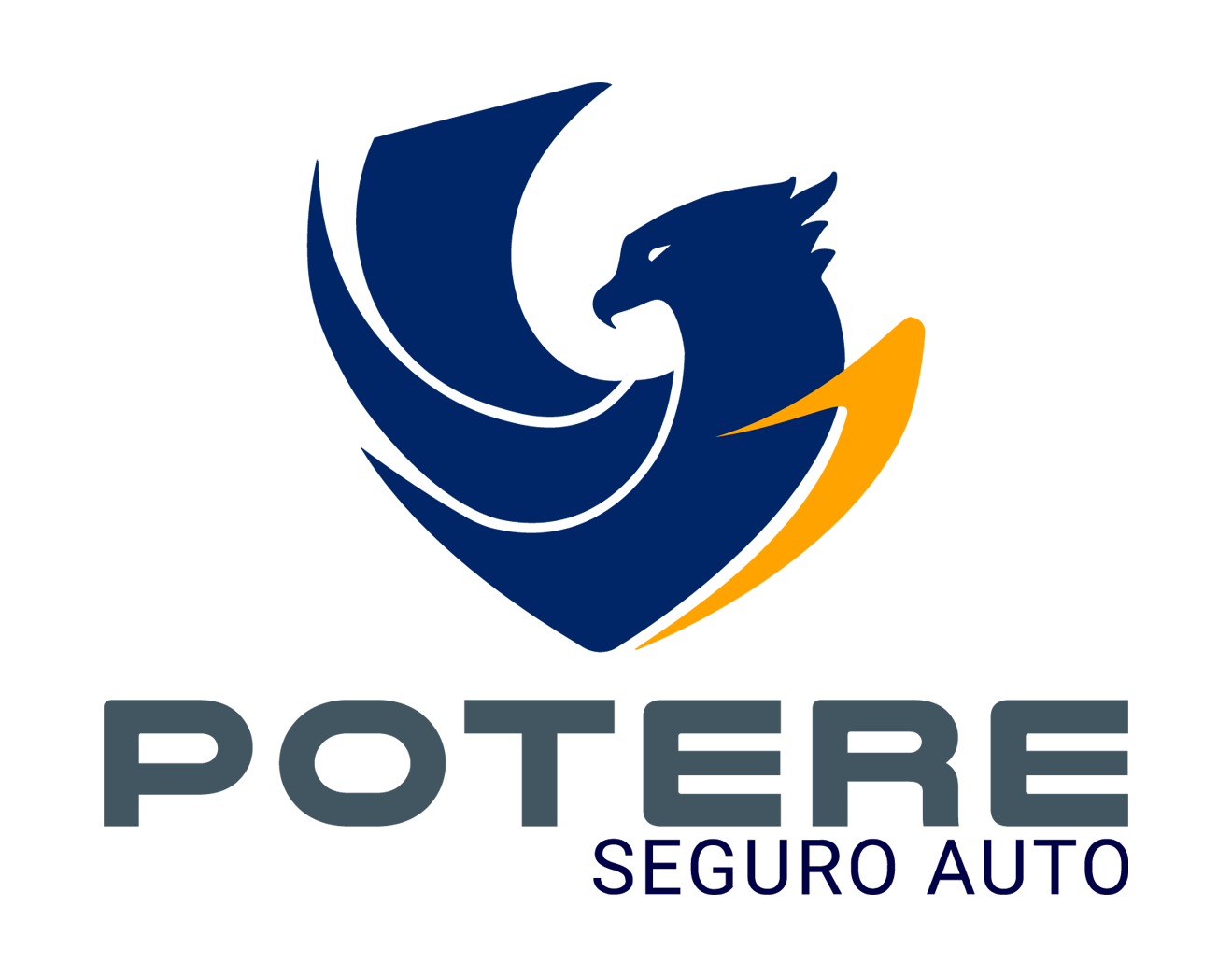 Potere Seguro Auto
